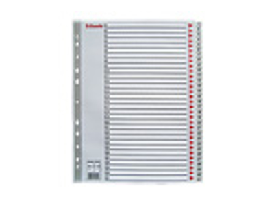 REGISTER ESSELTE A4 PLAST MAXI 1-31 GRÅ MED FORBLAD 100127