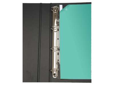 FILE-STRIPS A4 295MM SELVKLÆBENDE PK. MED 100 STK. 