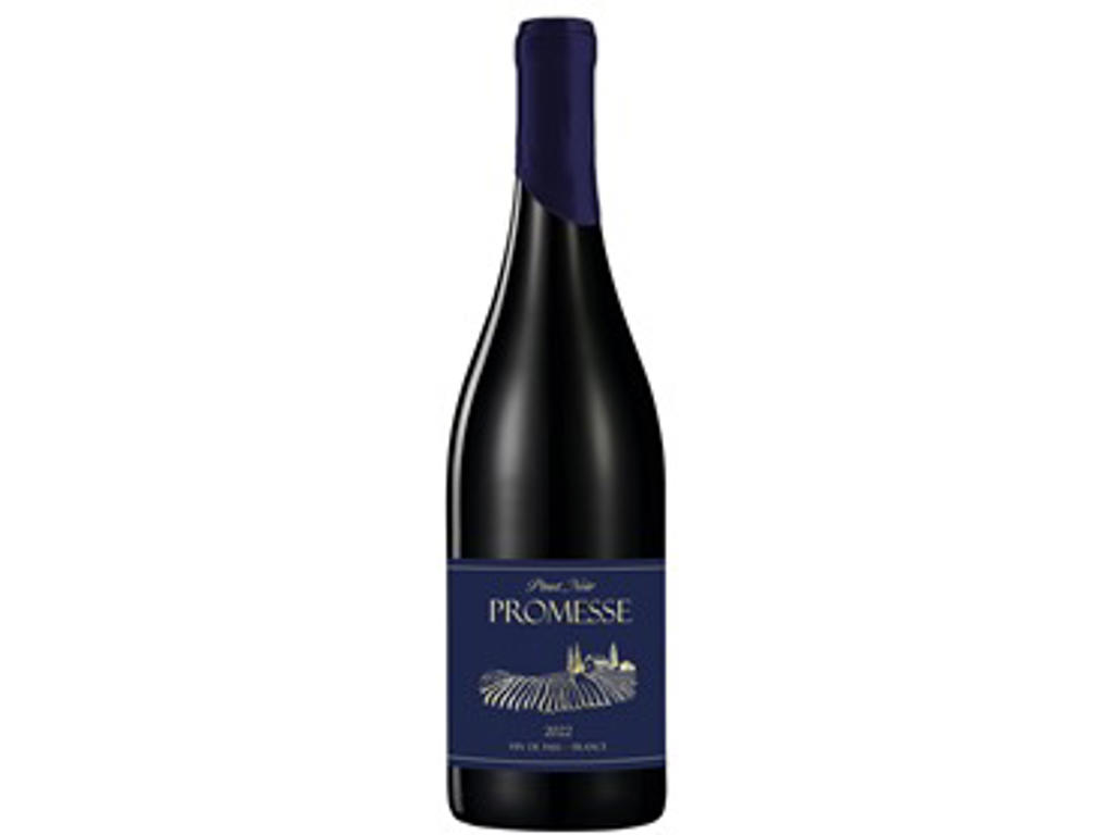 PROMESSE PINOT NOIR ØKO. IGP PAYS D'OC ROOTS BEVERAGES 2022 13,5 75 CL. RØD VIN