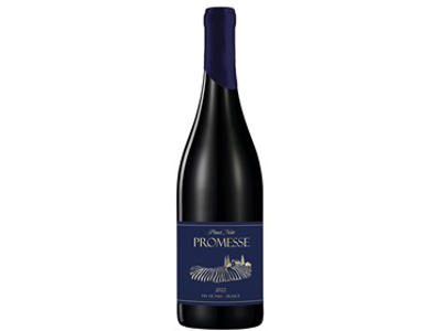 PROMESSE PINOT NOIR ØKO. IGP PAYS D'OC ROOTS BEVERAGES 2022 13,5 75 CL. RØD VIN