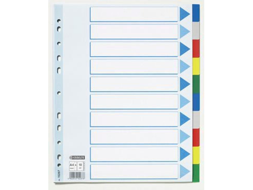 REGISTER ESSELTE A4 PLAST MAXI 10-DELT 56106 - 15267 