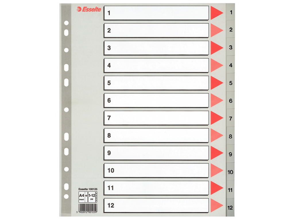REGISTER ESSELTE A4 PLAST MAXI 1-12 GRÅ MED FORBLAD 100125