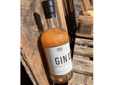 VIBEGAARD GIN STIKKELBÆR M/GLIMME 50CL. 42% 