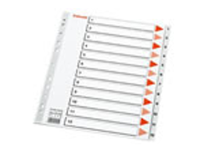 REGISTER ESSELTE A4 PLAST MAXI 1-12 GRÅ MED FORBLAD 100125