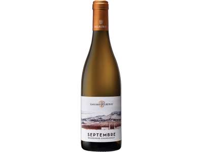 BOURGOGNE CHARDONNAY SEPTEMBRE 2022 75 CL. 12,5 % HVIDVIN 