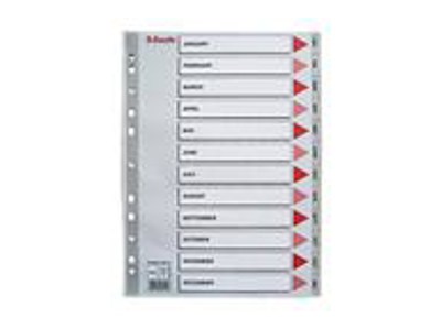 REGISTER ESSELTE A4 PLAST JAN-DEC GRÅ MED KARTONFORBLAD 100114