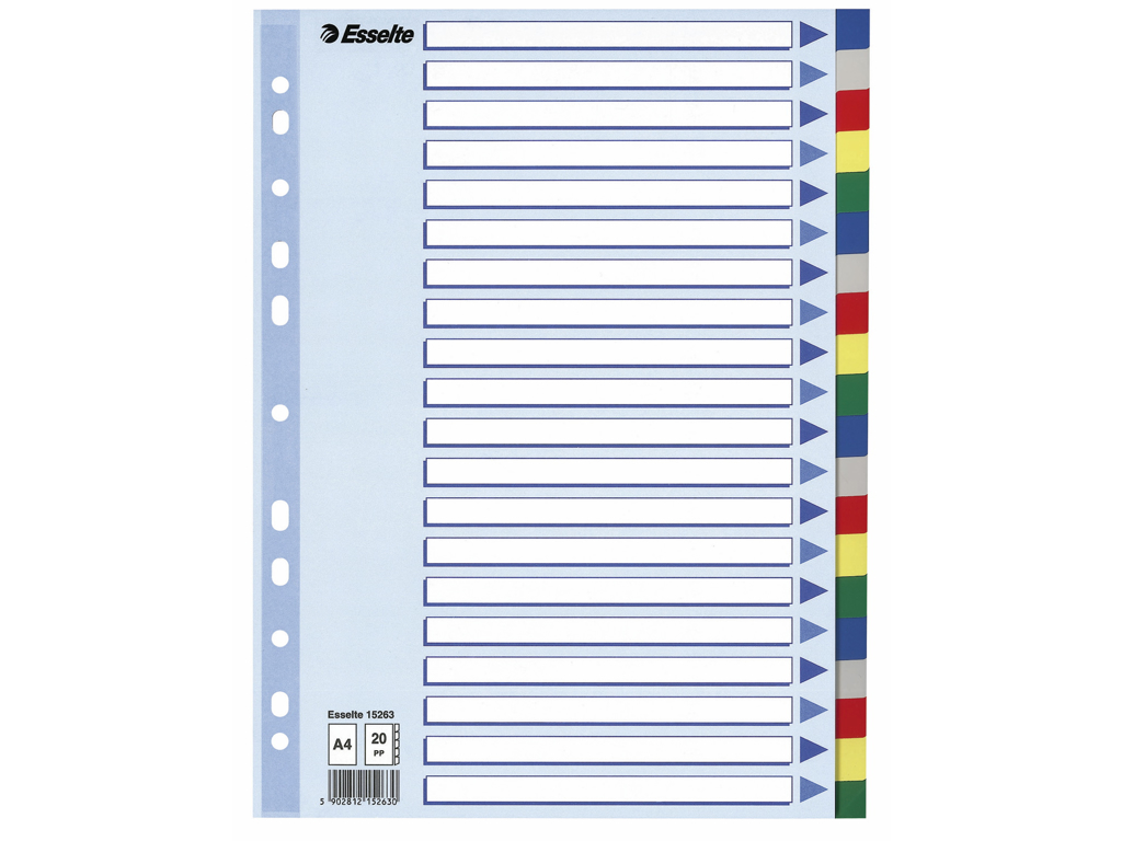 REGISTER ESSELTE A4 PLAST FANE- BLAD 20-DELT MED FORBLAD 15263