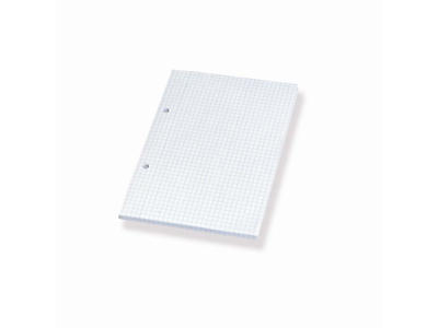 BLOK A5 HVID KVADRERET 60 GR. 2 HULLER 100051867